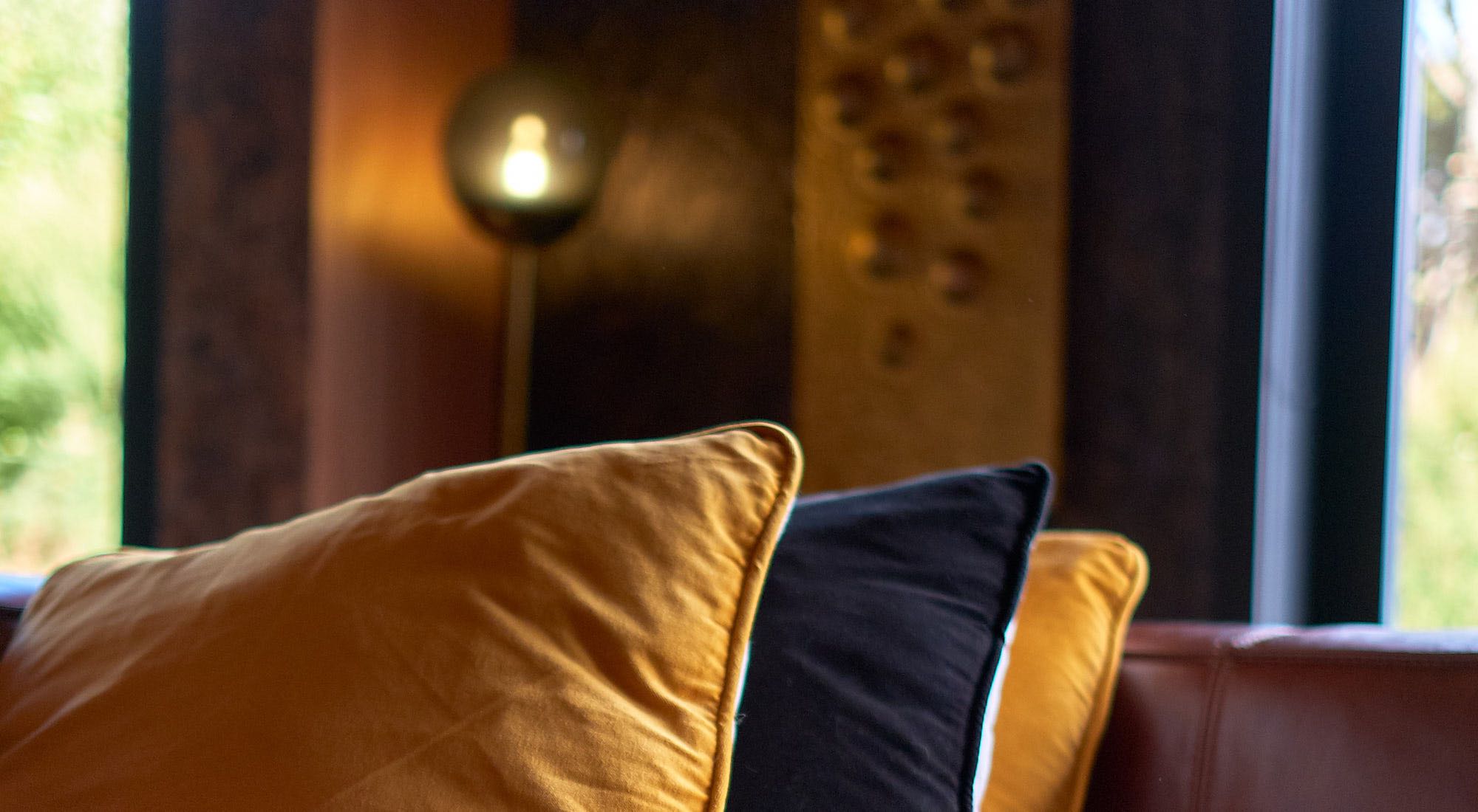 Cushion