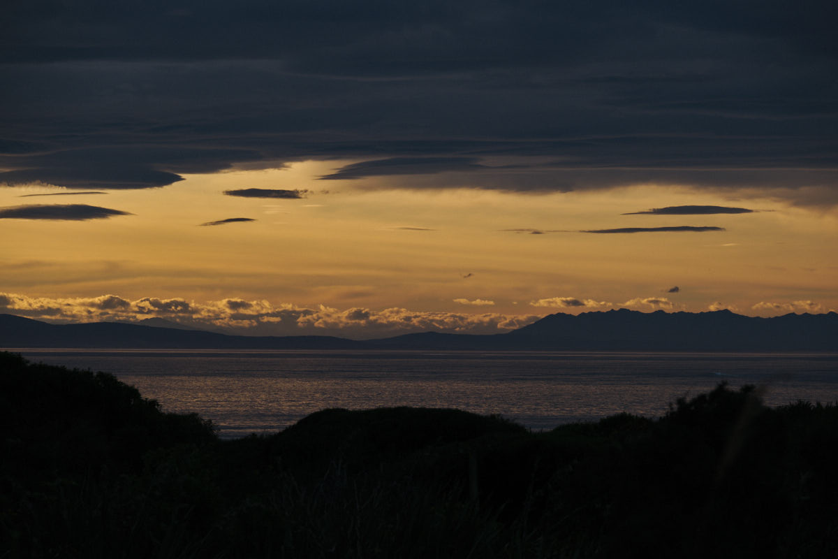 Stacks Image 55